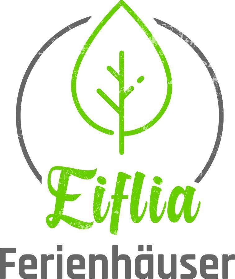 Eiflia- Im Warchetal Βίλα Bullange Εξωτερικό φωτογραφία